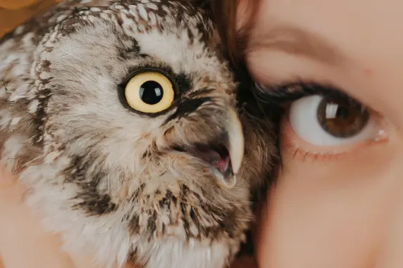 VegasWild Casino Ënnerstëtzung